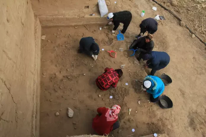 Arqueólogos han descubierto rastros de una antigua cultura humana en el norte de China Arqueólogos han descubierto rastros de una antigua cultura humana en el norte de china