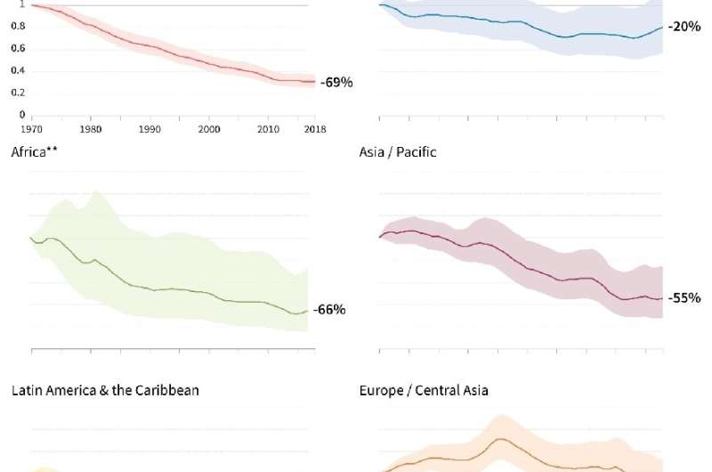 Las poblaciones de vida silvestre se desploman un 69% desde 1970: WWF