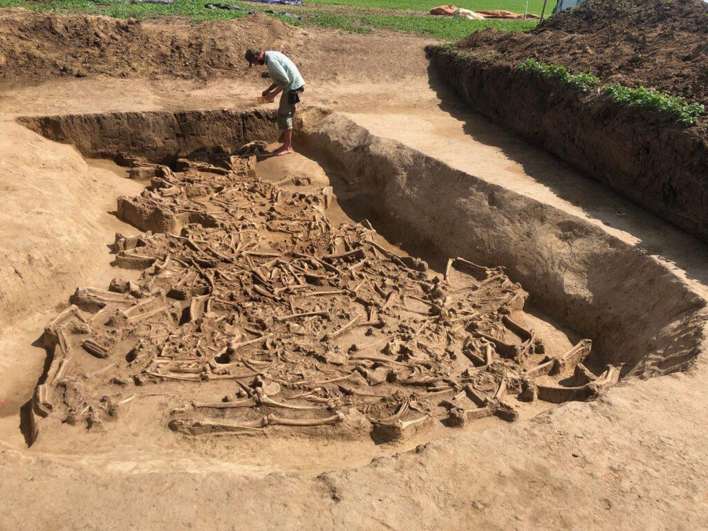 Esqueletos sin cabezas que datan de hace 7 000 años descubiertos en Eslovaquia