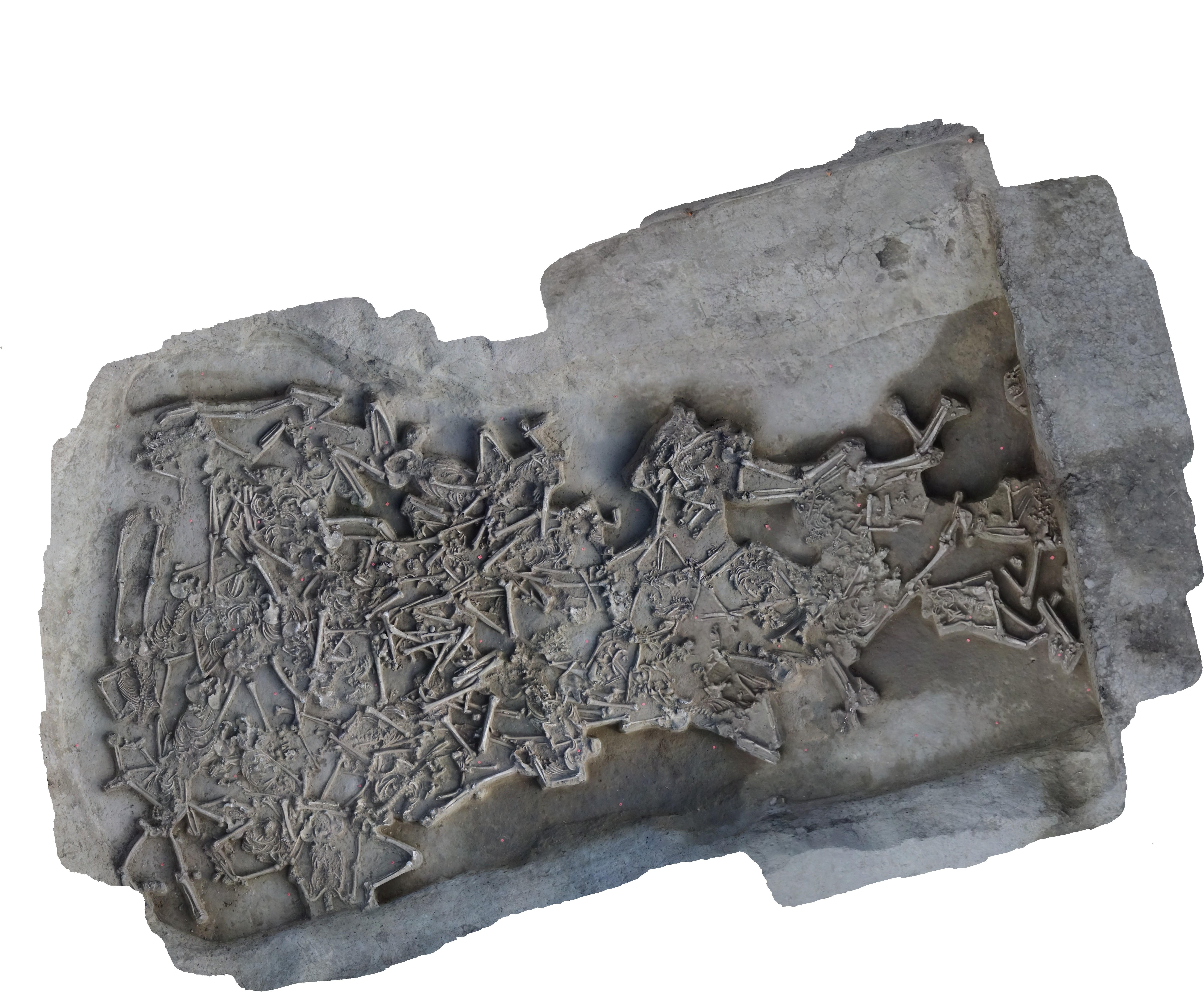 Esqueletos sin cabezas de hace 7 000 años han sido descubiertos en Eslovaquia