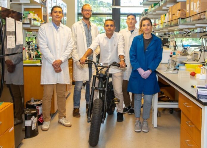 Desarrollan un nuevo software para rastrear células individuales Desarrollan un nuevo software para rastrear células individuales