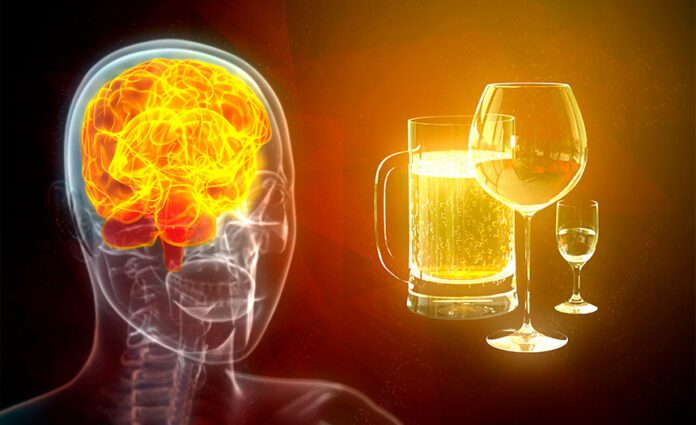 Consumo excesivo de alcohol en la adolescencia podría causar daños irreversibles en las neuronas: estudio consumo excesivo de alcohol en la adolescencia
