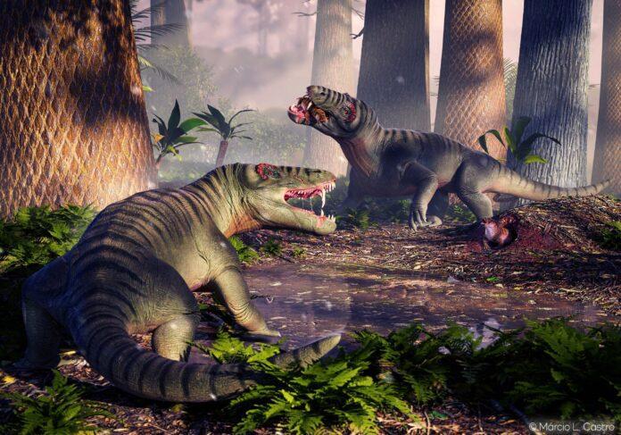 El depredador más antiguo de Suramérica también fue el más grande de su tiempo El depredador más antiguo de Suramérica también fue el más grande de su tiempo