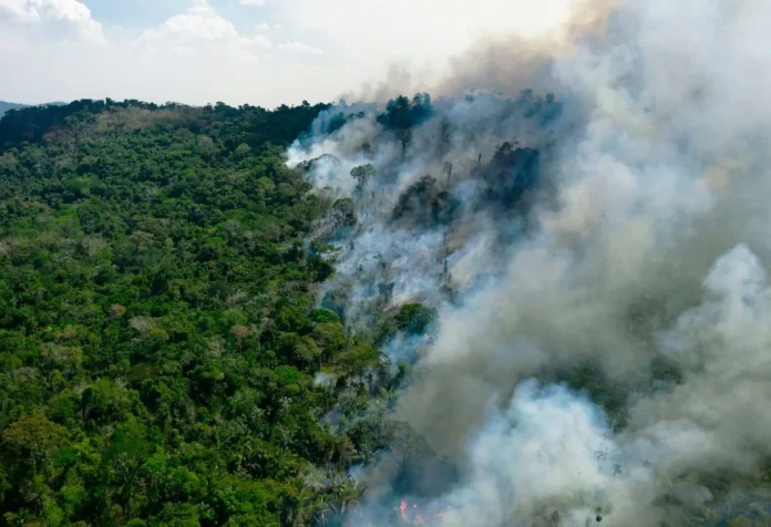 La Amazonia es una bomba de tiempo para el surgimiento de enfermedades con potencial pandémico