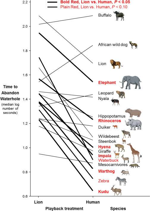 Los animales temen más a los humanos que a otros depredadores