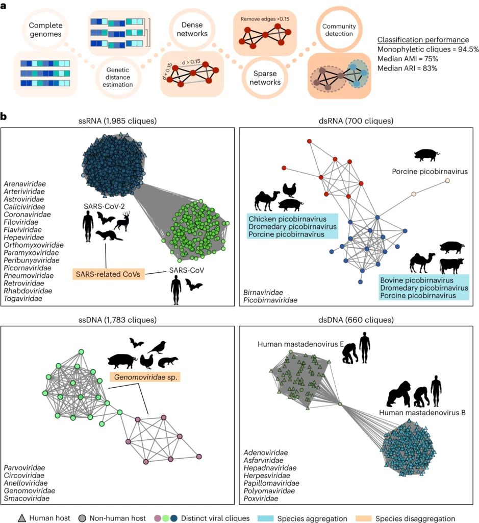 Los seres humanos transmitimos más virus a los animales que los animales a nosotros, sugiere un nuevo estudio