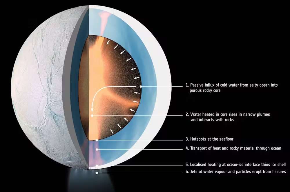 Encelado, la luna oceánica de Saturno, podría albergar vida; los investigadores están trabajando para detectar células extraterrestres allí