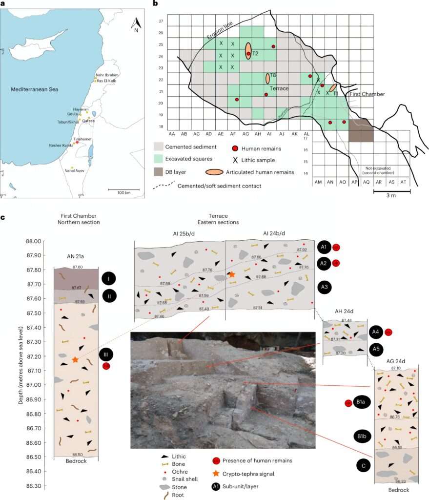 Diversas especies humanas forjaron una cultura común hace 100 000 años, revela estudio