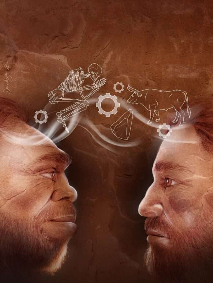 Diversas especies humanas forjaron una cultura común hace 100 000 años, revela estudio Diversas especies humanas forjaron una cultura común hace 100 000 años, revela estudio
