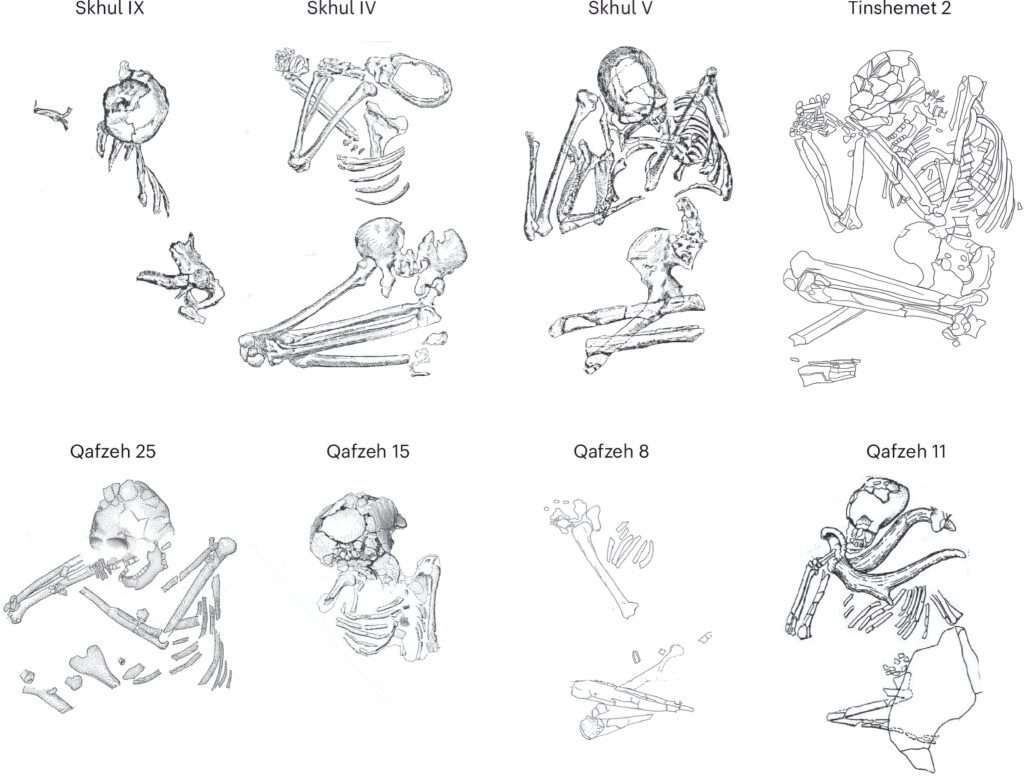 Diversas especies humanas forjaron una cultura común hace 100 000 años, revela estudio